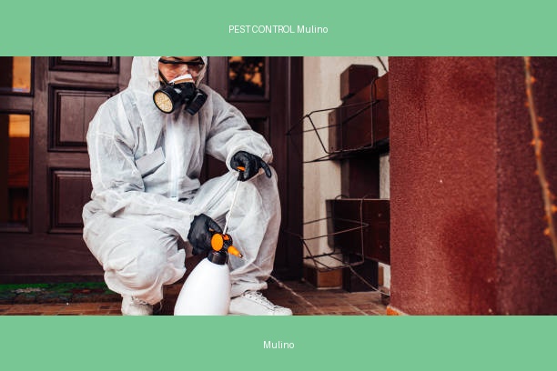 PEST CONTROL Mulino